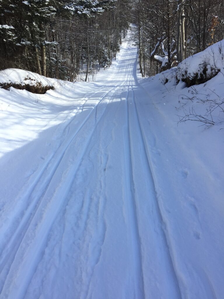 Mono Nordic Ski Club – Cross Country Skiing in Dufferin County